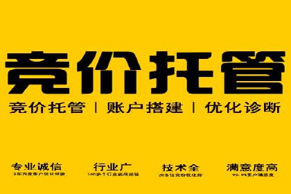 谷歌SEM广告投放策略解析：一家旅游公司的成功案例